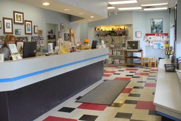 Sheehy Animal Hospital - Livonia , United States