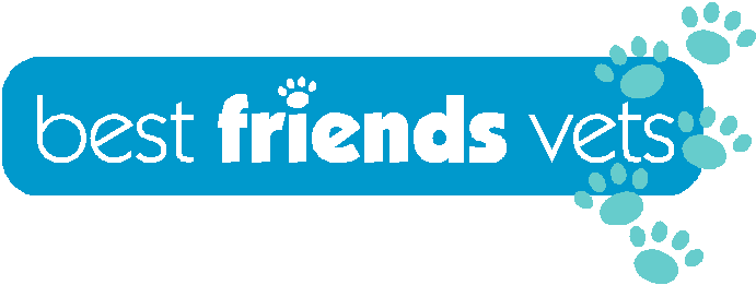 Medivet Christchurch Best Friends Veterinary Surgery - Christchurch , United Kingdom