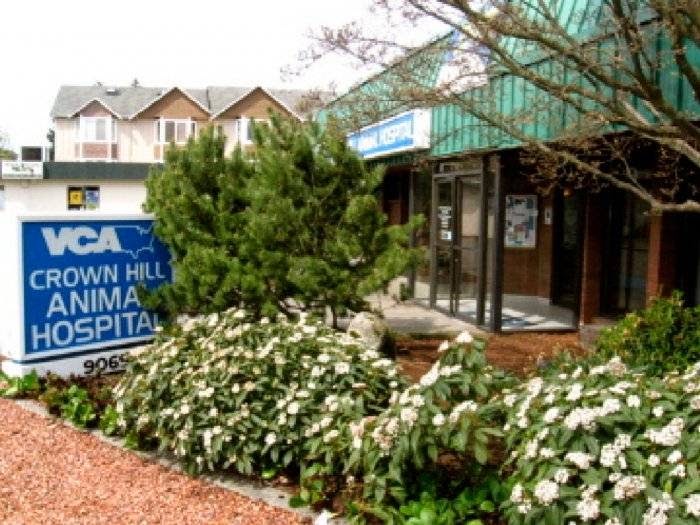 Vca Crown Hill Animal Hospital - Seattle , United States
