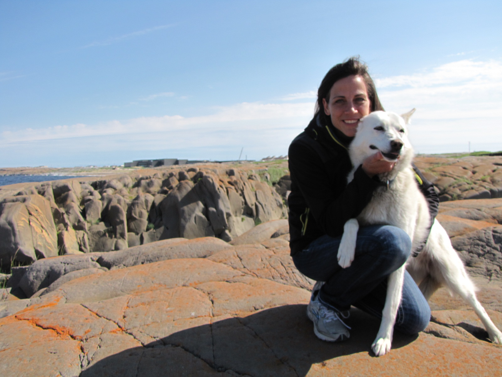 Animal Ark Veterinary Services - Winnipeg , Canada