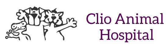 Clio Animal Hospital - Clio , United States