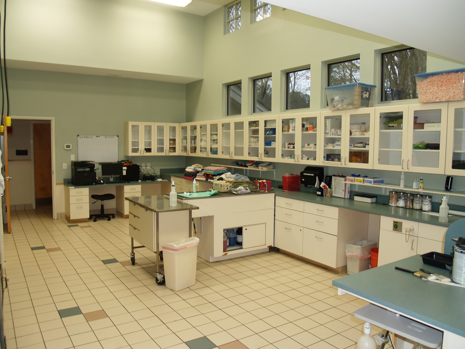 Noahs Ark Veterinary Hospital - Cary , United States