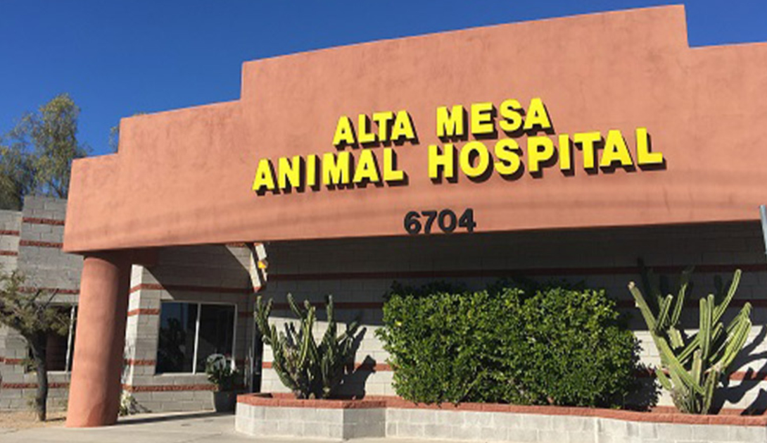Alta Mesa Animal Hospital - Mesa , United States