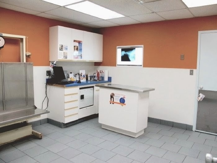 Finn Hill Animal Hospital Kirkland Wa - Kirkland , United States