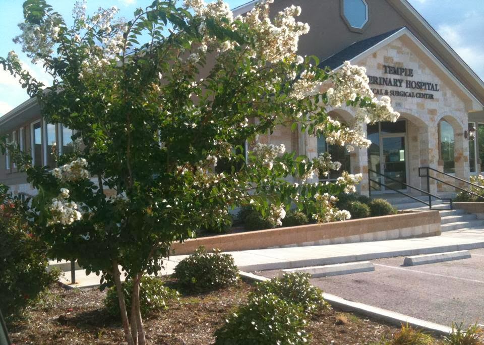 Temple Veterinary Hospital Medical And Surgical Center - Temple , United States