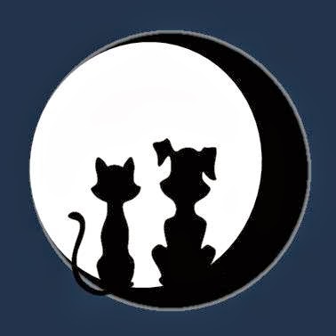 Emergency Vetcare - Poole , United Kingdom