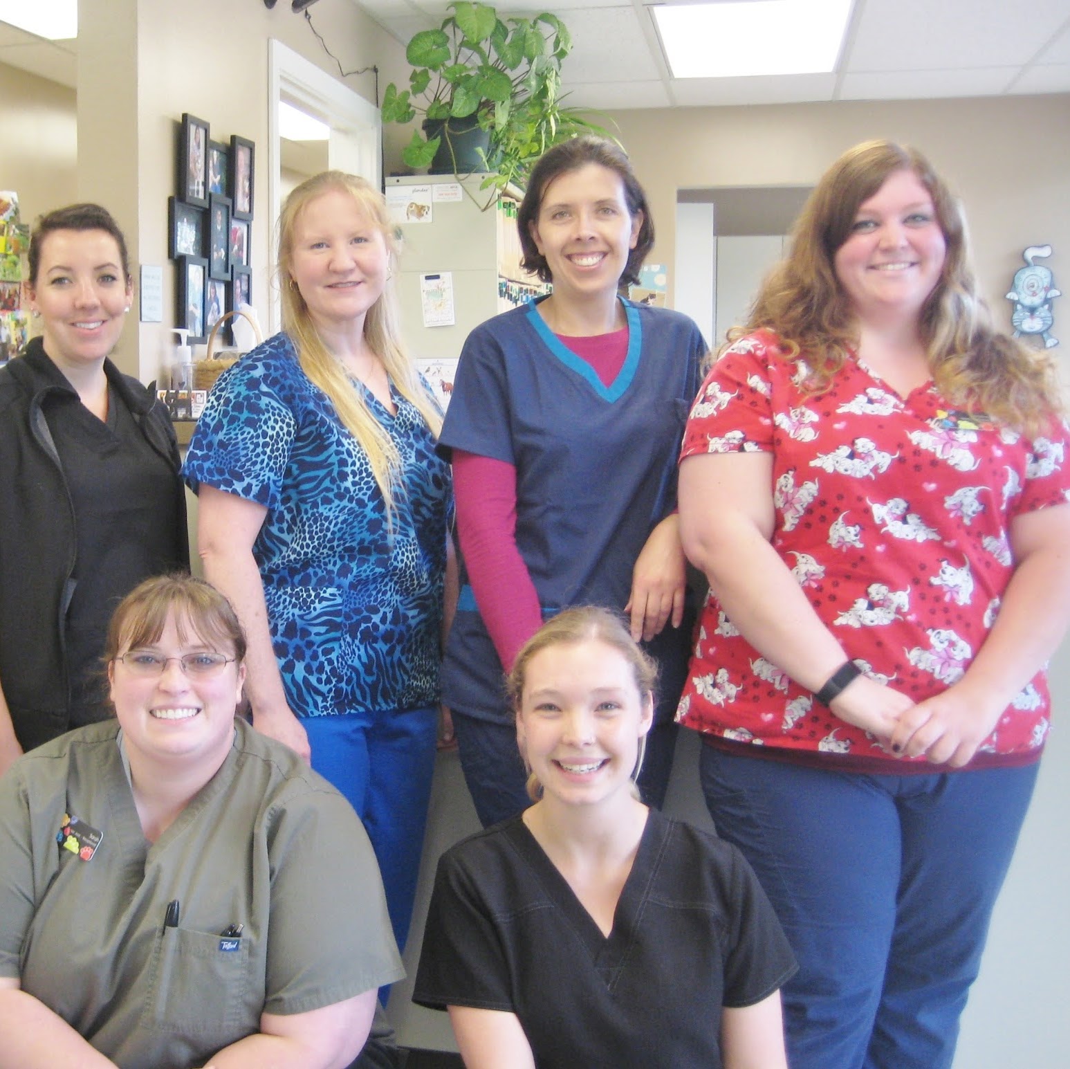 East Lansing Veterinary Clinic - East Lansing , United States