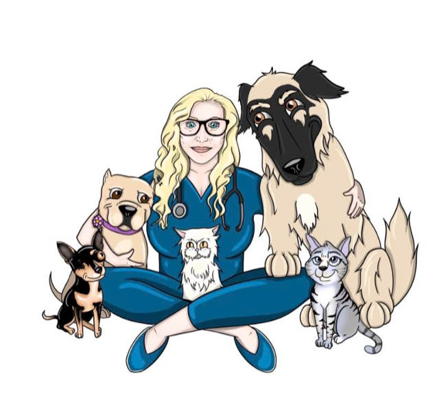 Dr. Ally's Animal Clinic of Punta Gorda (Animal Medical Clinic of Punta Gorda) - Punta Gorda , United States