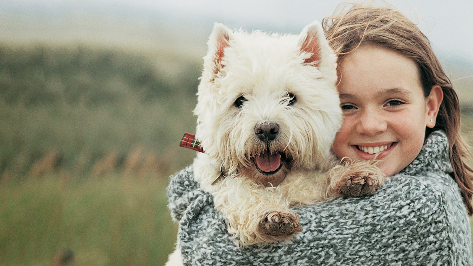 The Village Vet LLC - Damascus , United States