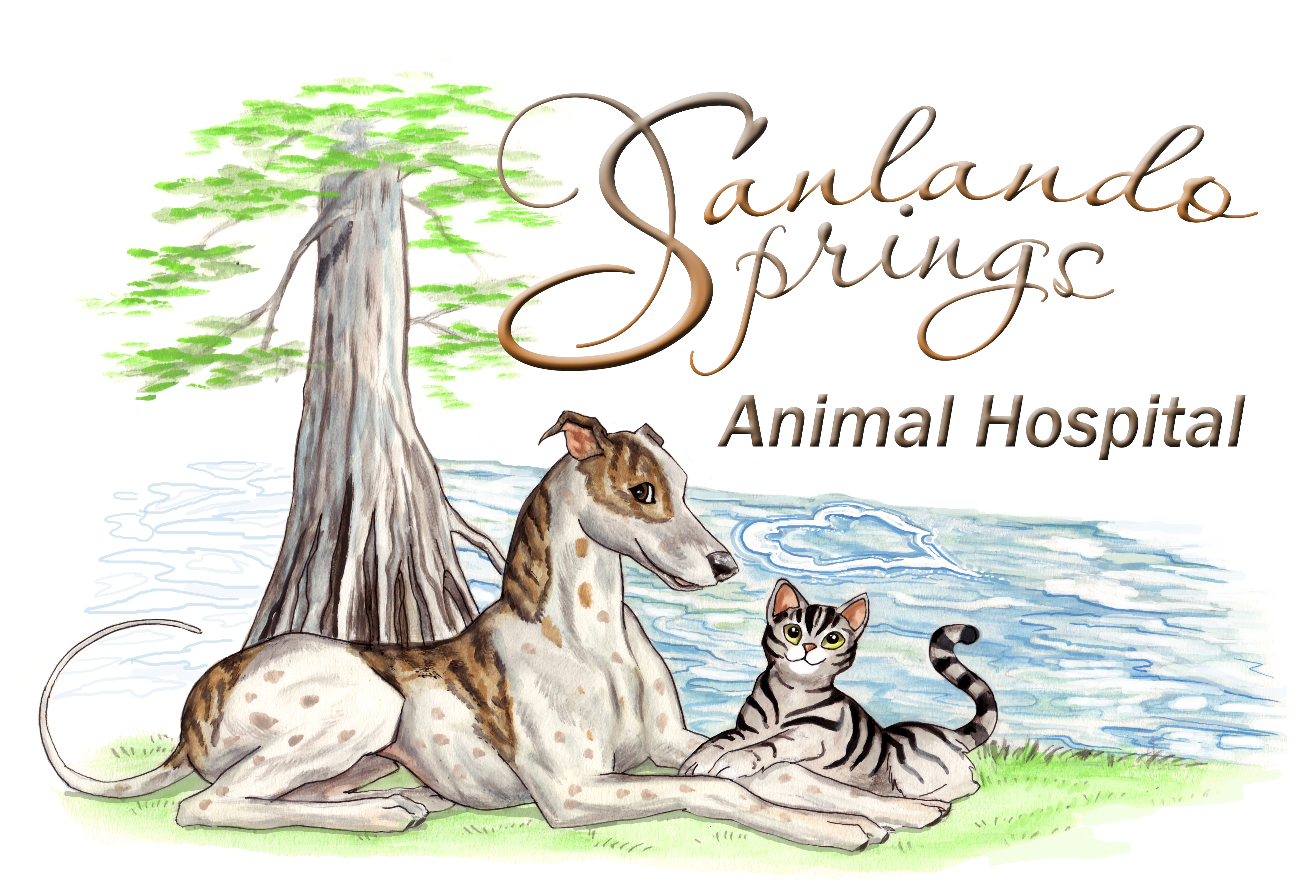 Sanlando Springs Animal Hospital - Longwood , United States