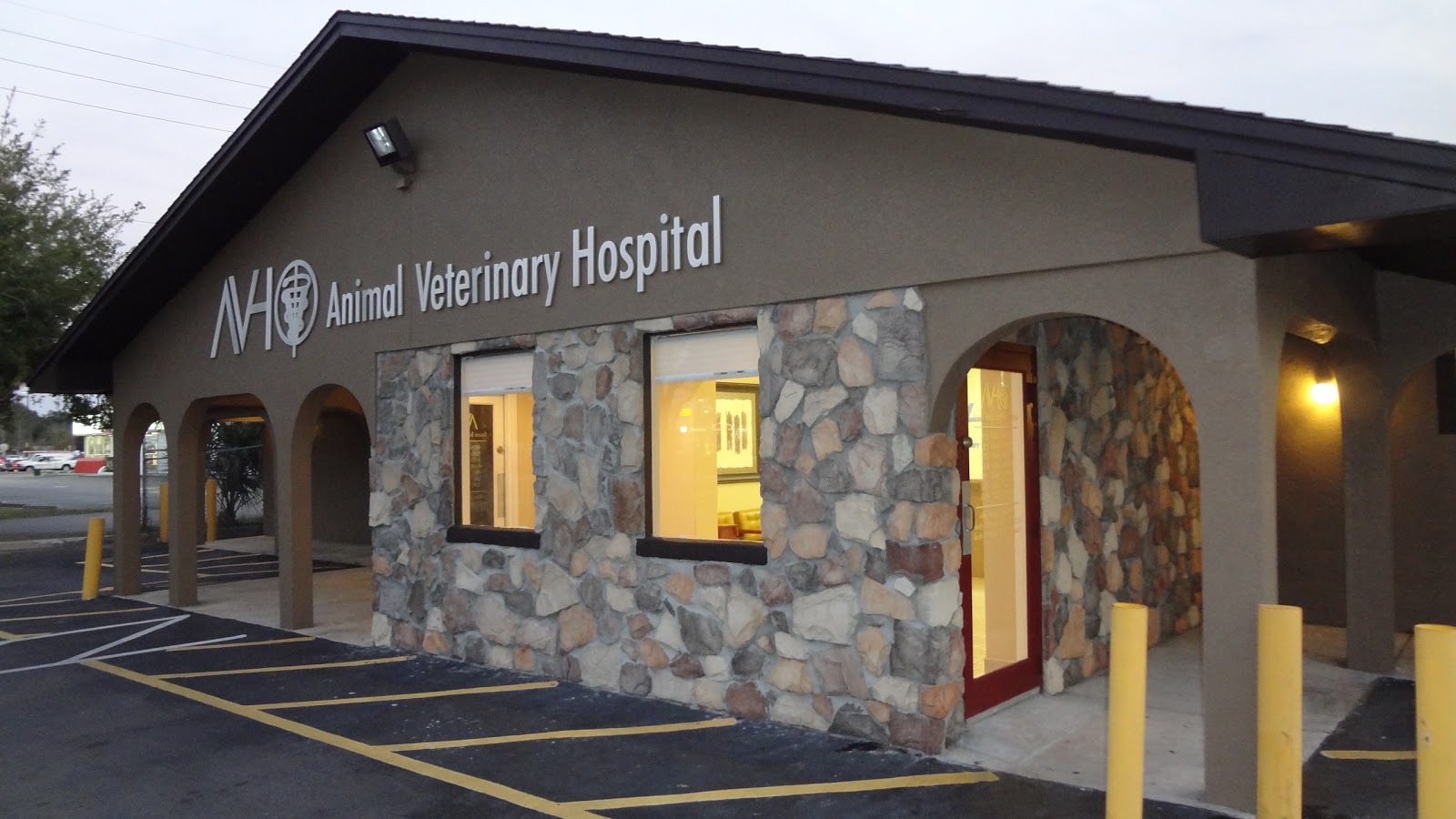 Animal Veterinary Hospital Of Orlando - Orlando , United States