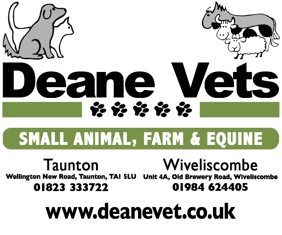 Deane Vets - Taunton , United Kingdom