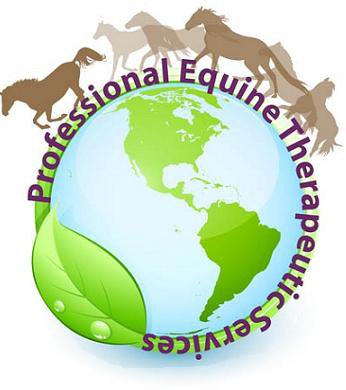 Professional Equine Therapeutic Services - Monroe , United States