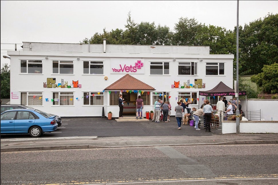 Yourvets Rayleigh - Rayleigh , United Kingdom