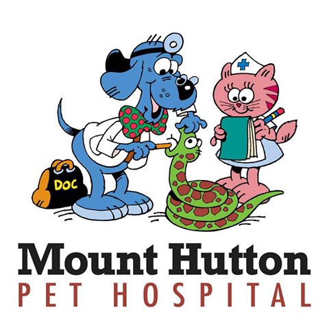 Mount Hutton Pet Hospital - Mount Hutton , Australia