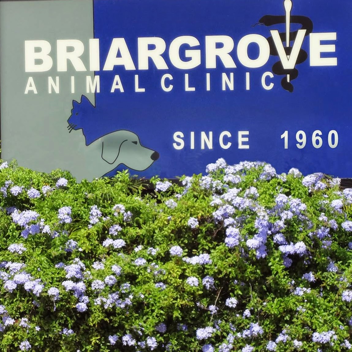 Briargrove Animal Clinic - Houston , United States