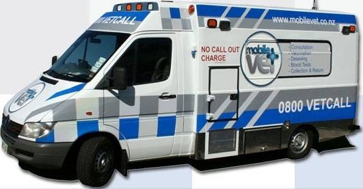 Mobile Vet Tauranga - Mount Maunganui , New Zealand