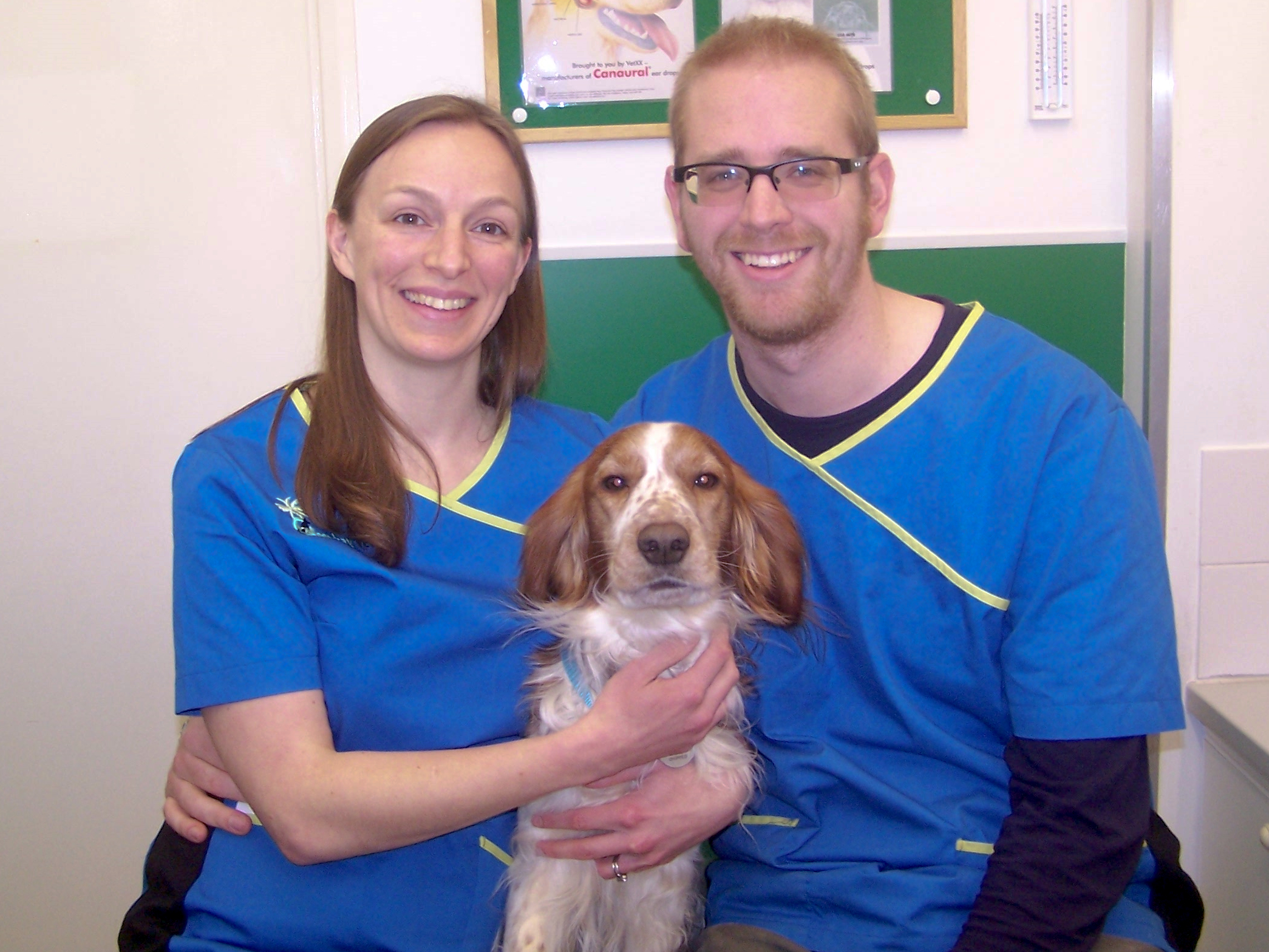Greenbay Vets Torquay - Torquay , United Kingdom