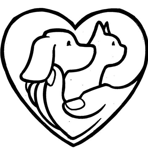 Care Animal Hospital - Tulsa , United States