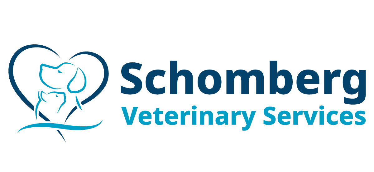 Schomberg Veterinary Services - Schomberg , Canada