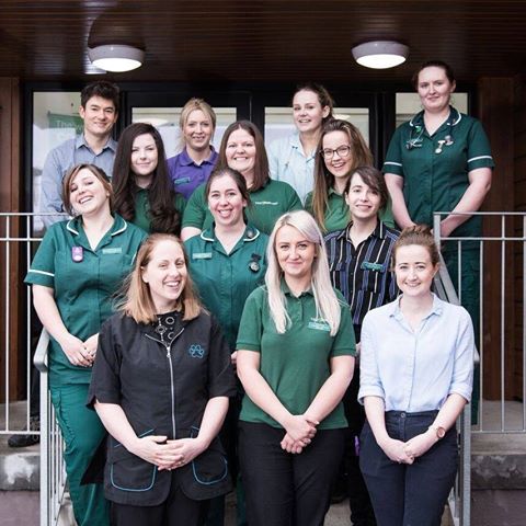 The Oaks Vets - Kilmarnock , United Kingdom
