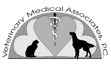 Veterinary Medical Associates Pc - Perry , United States