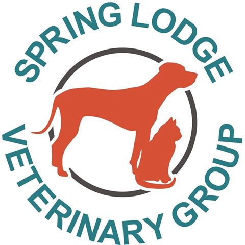 Spring Lodge Veterinary Group - Chelmsford , United Kingdom