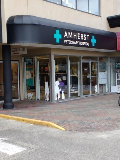 Amherst Veterinary Hospital, 260-2083 Alma Street, Vancouver, Reviews and  Appointments - TopVet