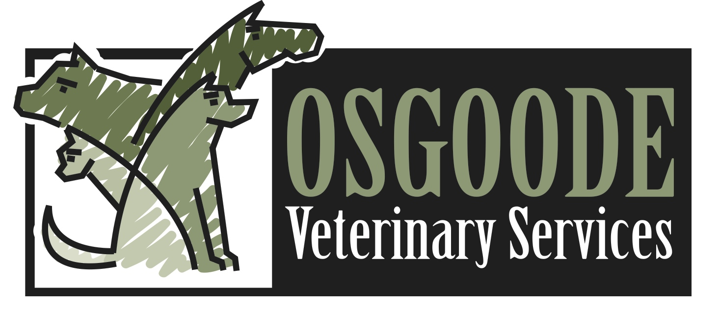 Osgoode Veterinary Services - Osgoode , Canada