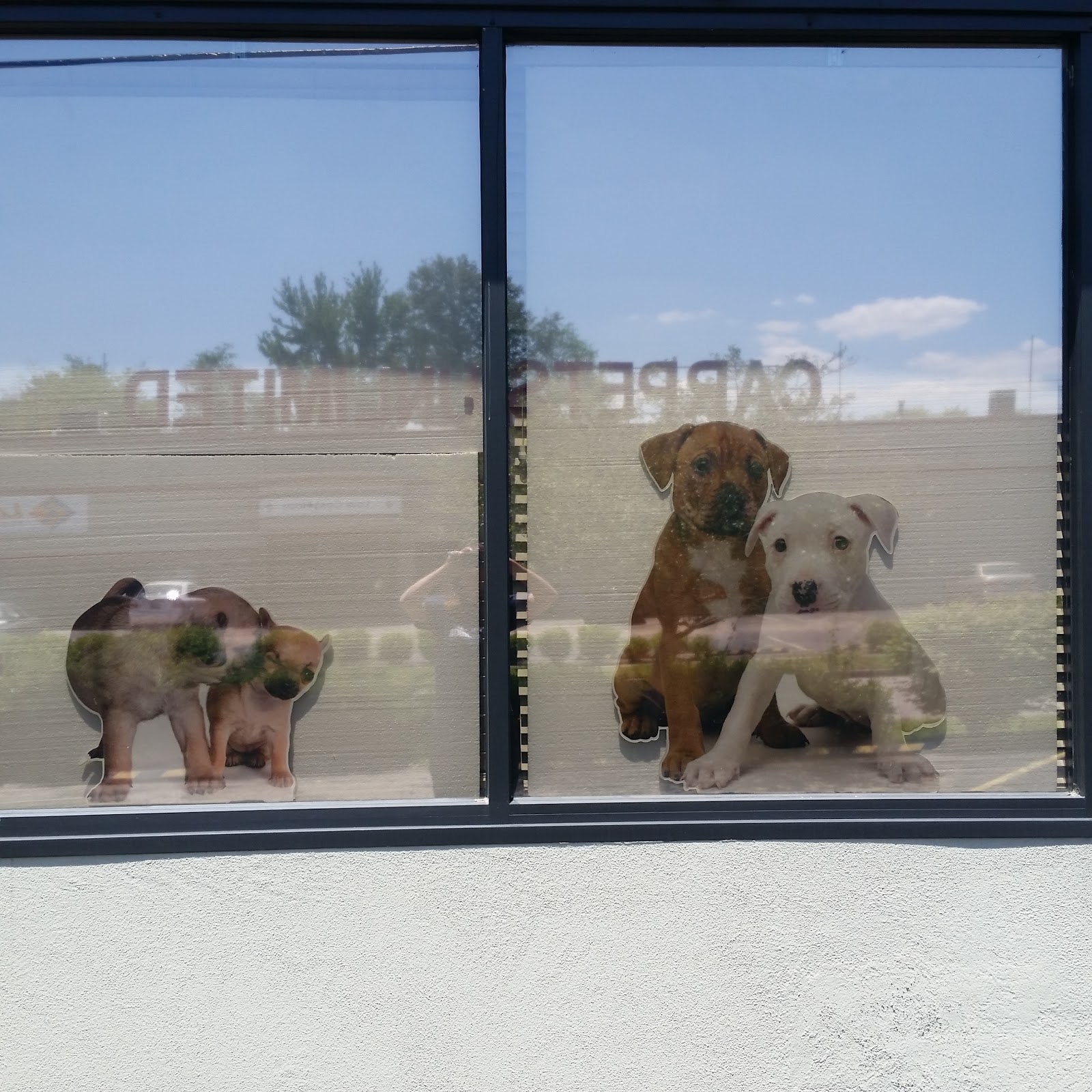 Owensboro Animal Hospital - Owensboro , United States