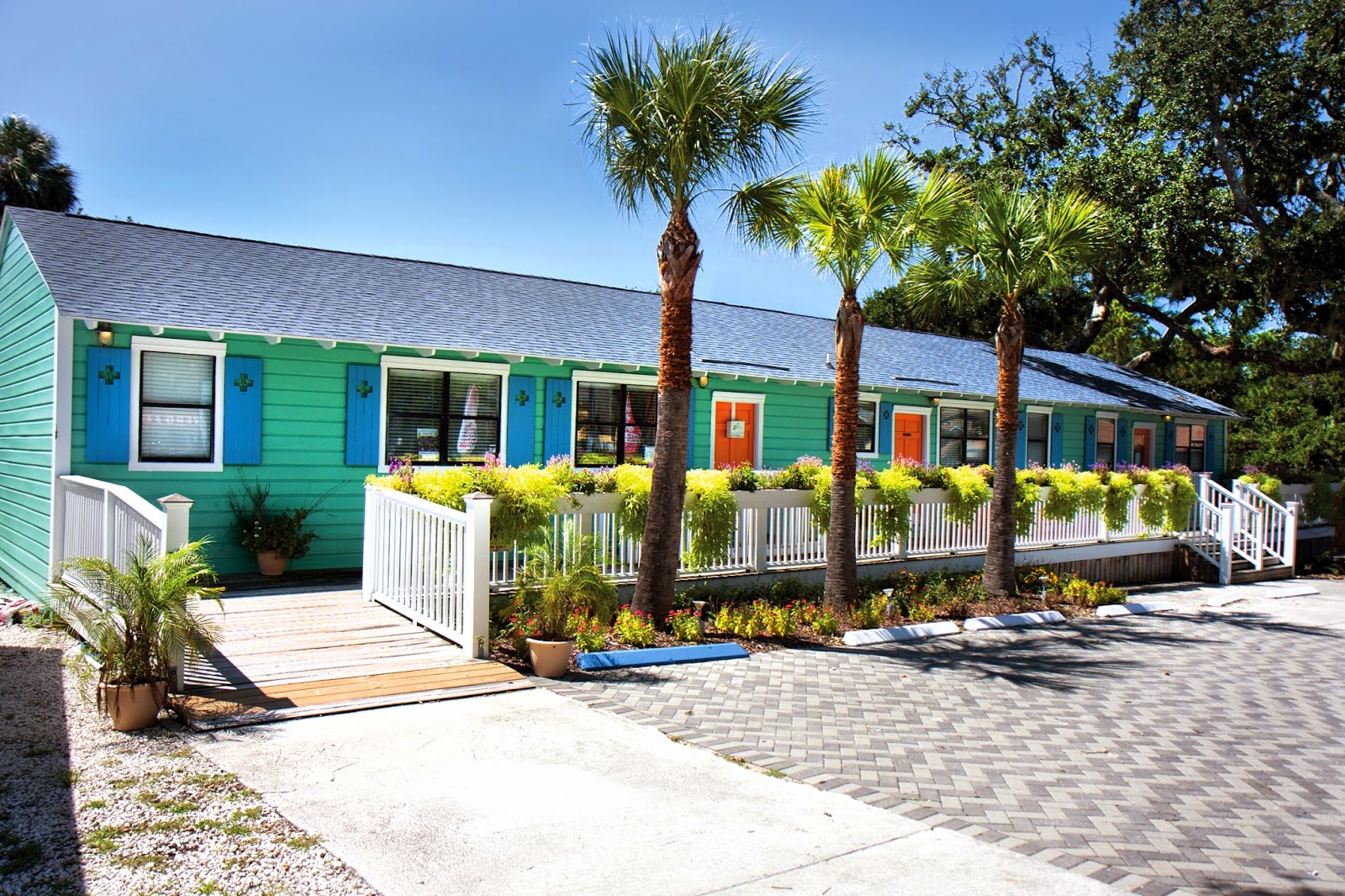 Tybee Animal Care - Tybee Island , United States