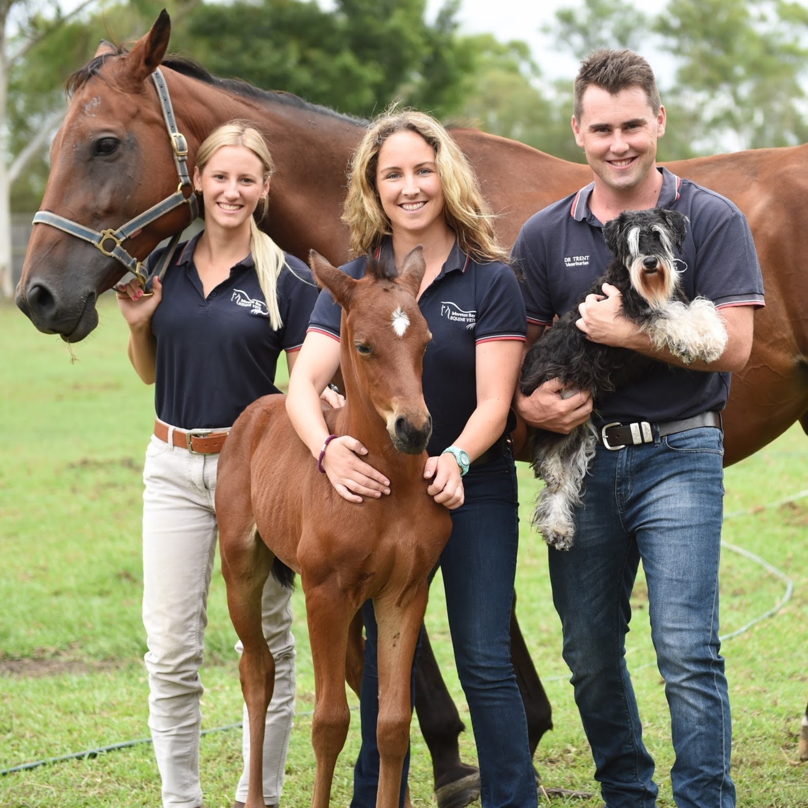 Moreton Bay Vets - D'Aguilar , Australia