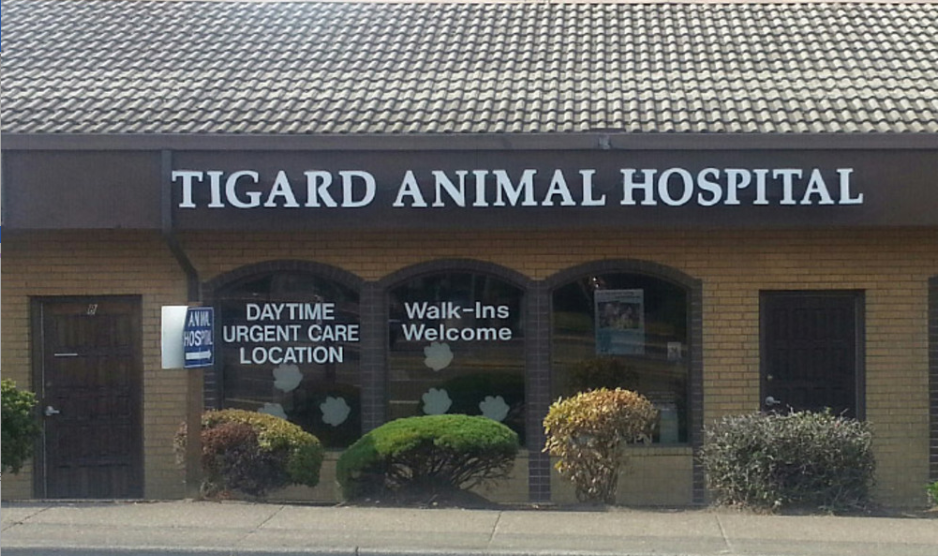 Tigard Animal Hospital - Tigard , United States
