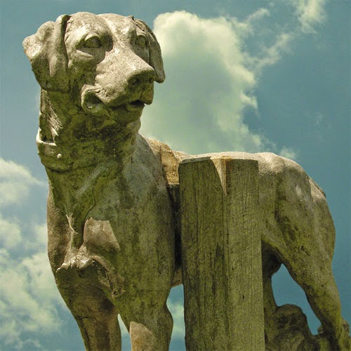 Shakespeare Veterinary Hospital PC - Stratford , United States