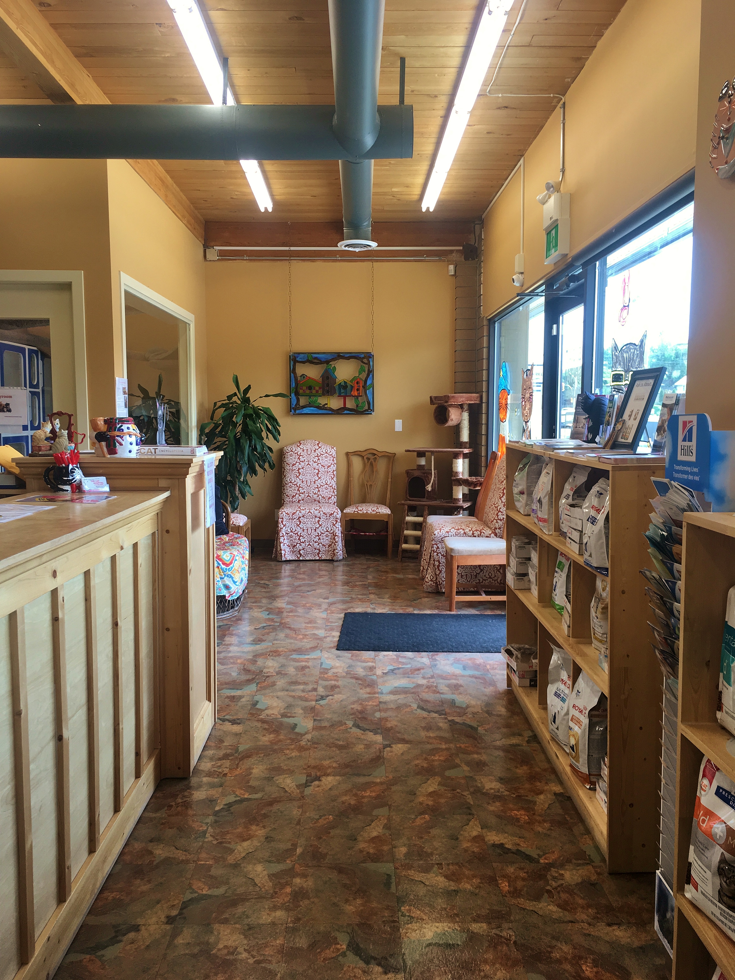 The Cat Hospital of Kamloops - Kamloops , Canada