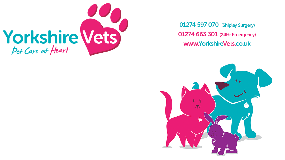 Yorkshire Vets - Shipley , United Kingdom