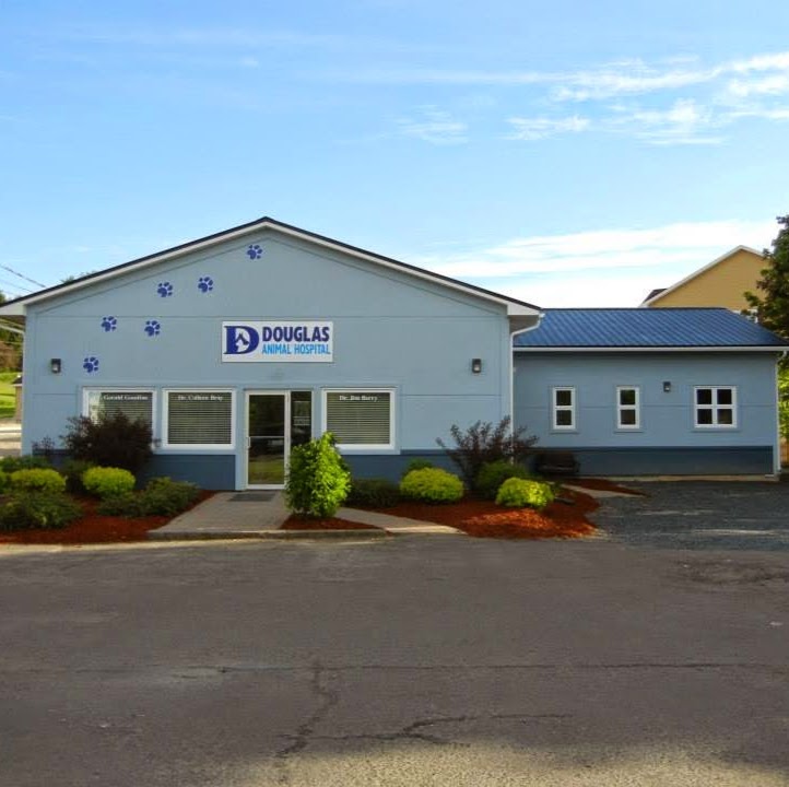 Douglas Animal Hospital - Fredericton , Canada