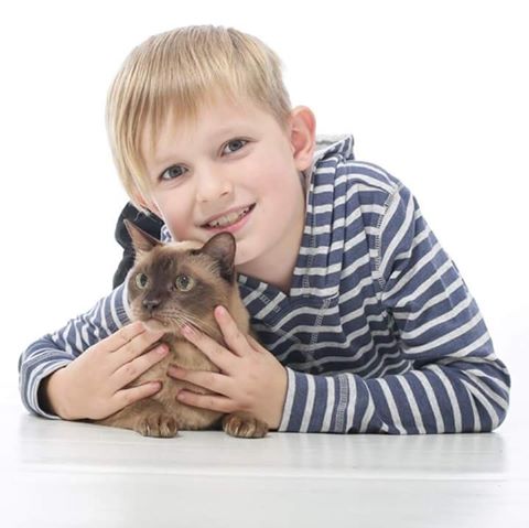 Mildura Veterinary Hospital - Mildura , Australia