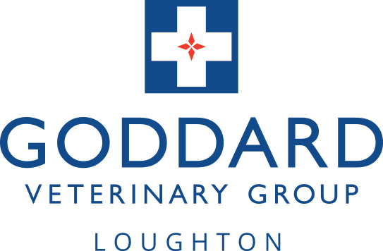 Goddard Veterinary Group Loughton - Loughton , United Kingdom