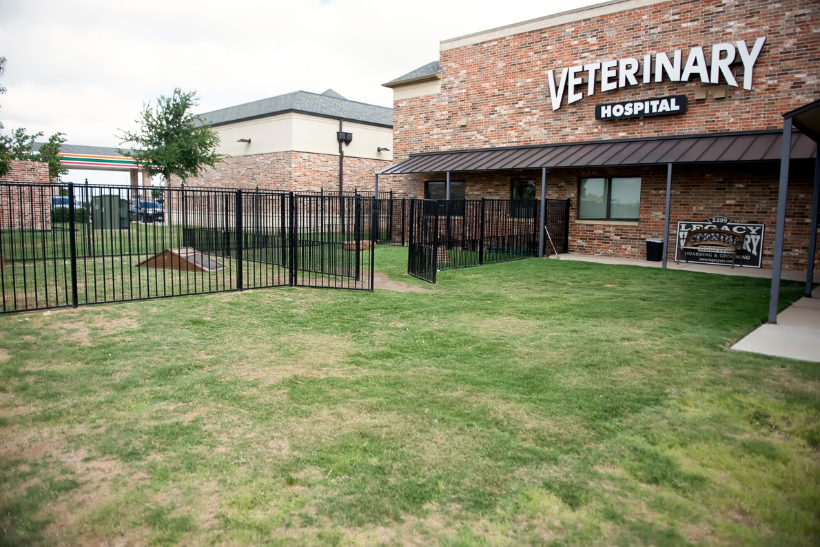 Banfield Pet Hospital - Frisco , United States