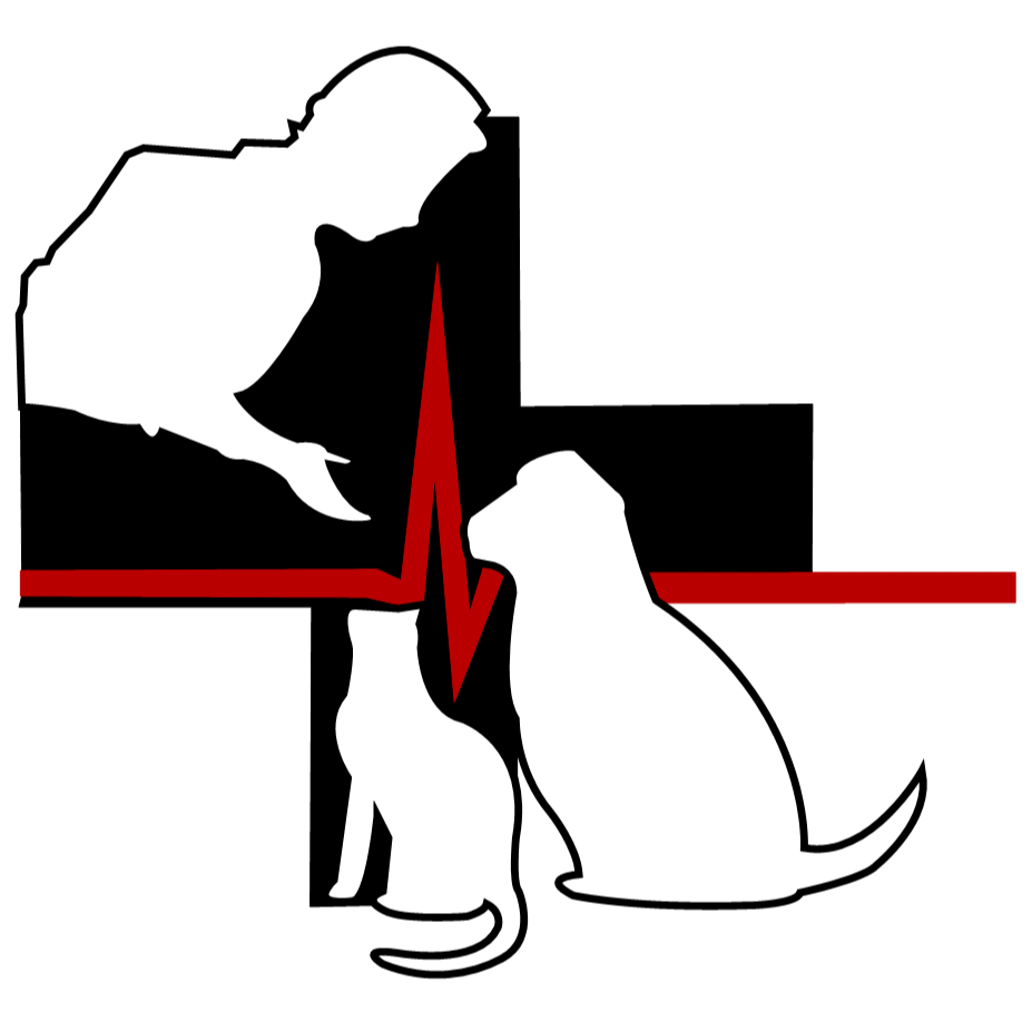 Animal Emergency And Specialty Center - Parker , United States