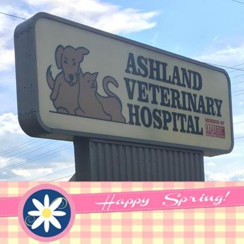 Ashland Veterinary Hospital - Ashland , United States