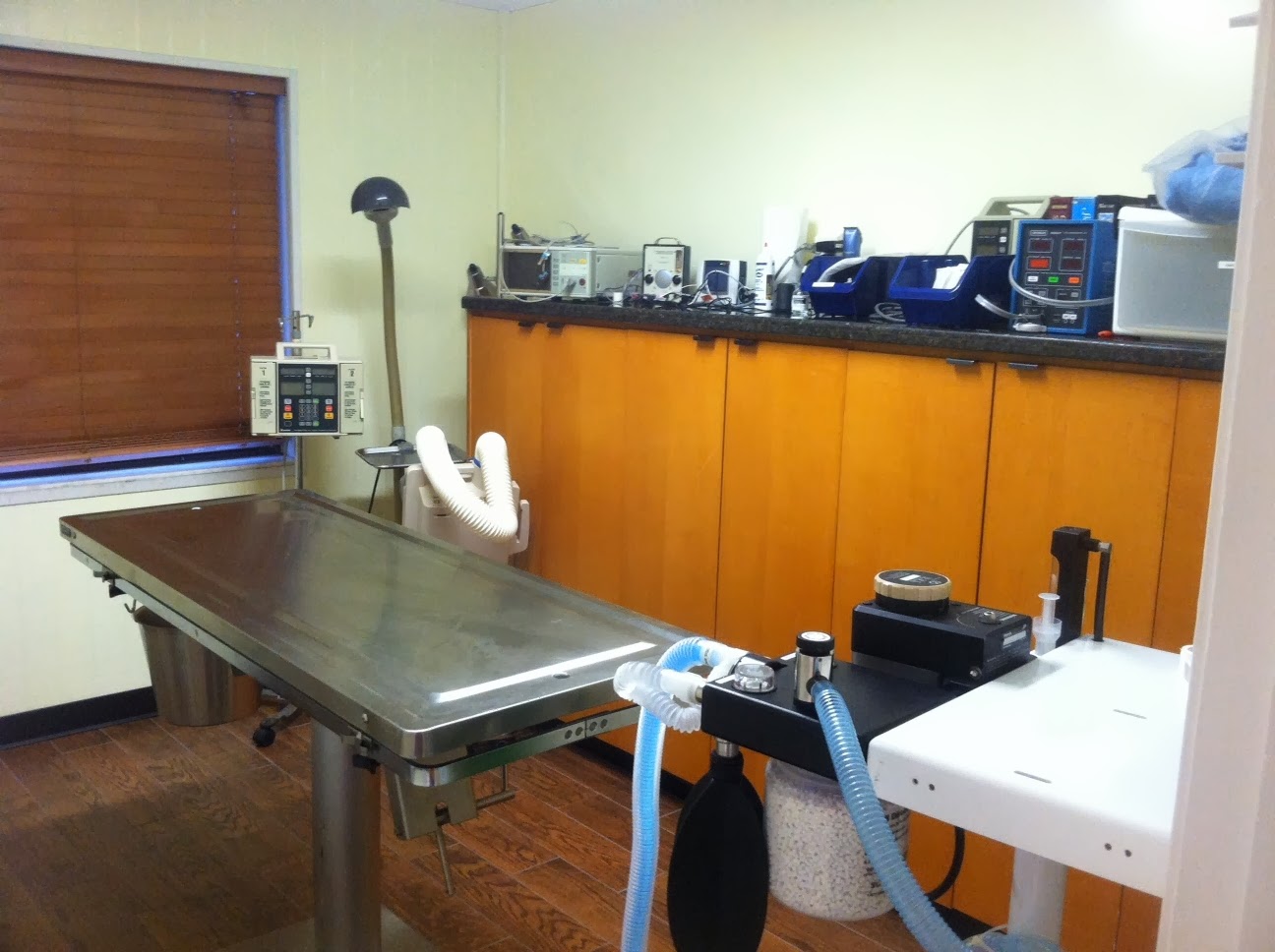 Tequesta Veterinary Clinic - Tequesta , United States