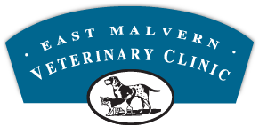 East Malvern Veterinary Clinic - Malvern East , Australia