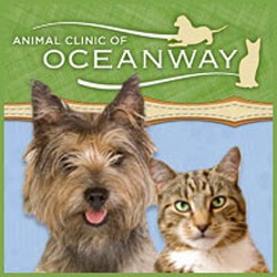 Animal Hospital Of Oceanway - Jacksonville , United States