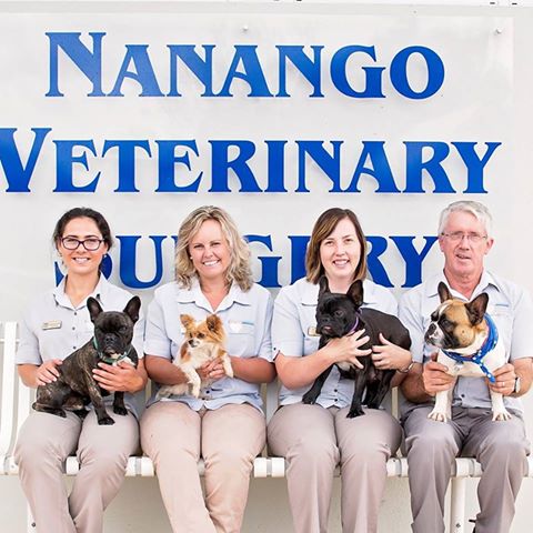 Nanango Veterinary Surgery - Nanango , Australia