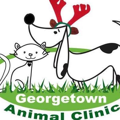 Georgetown Animal Clinic - Georgetown , Canada