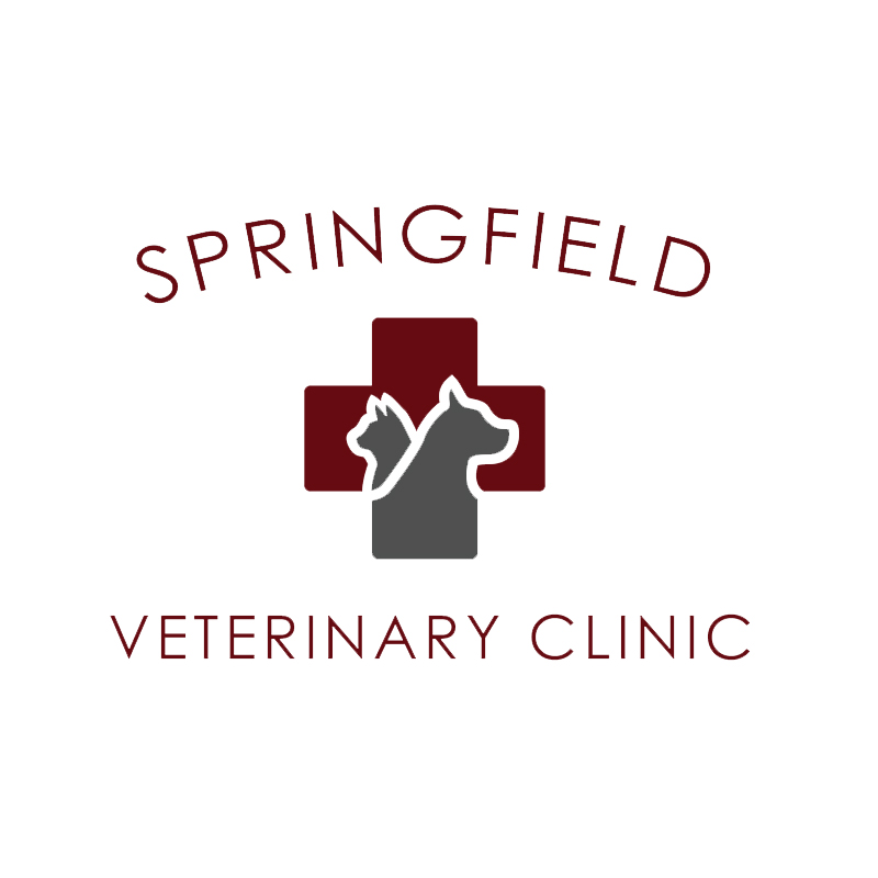 Springfield Veterinary Clinic - Village of Clarkston , United States