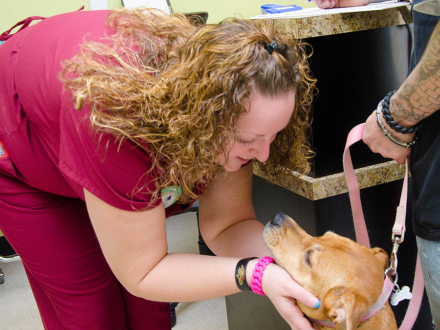 Paw Prints Pet Hospital - Rosedale , United States