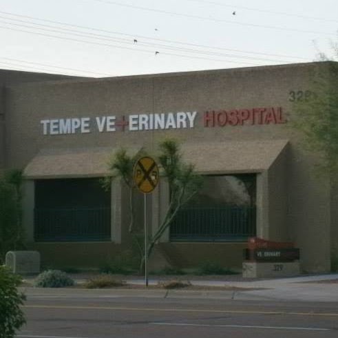 Tempe Veterinary Hospital - Tempe , United States